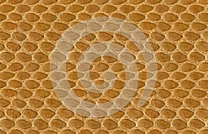 Gold Alligator Skin Leather Seamless Texture Photograph