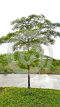 Metland Transyogi Cileungsi West Java