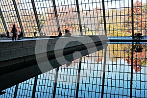 Metropolitan Museum of Art