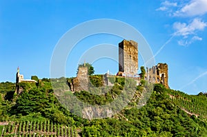 Metternich Castle, Beilstein, Rhineland-Palatinate, Germany, Europe
