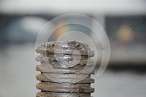 Mettle big screw with blur background photo