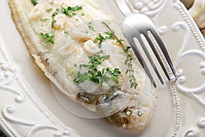 Meuniere sole fish