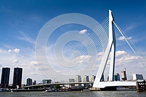 Meuse River and Erasmus Bridge