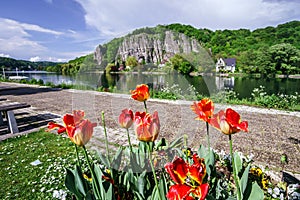 Meuse river view near Namur