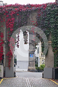 Mews archway in London with leaves reddening in autumn