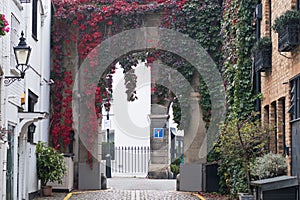 A mews archway in London with leaves reddening in the fall