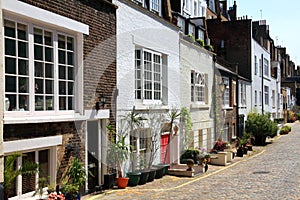 Mews houses photo