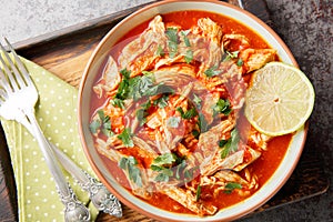 Mexican Baked shredded Chicken and tomato salsa close-up in a bowl. Horizontal top view