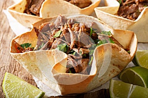 Mexican barbacoa with beef and greens close-up. horizontal photo
