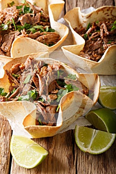 Mexican barbacoa with beef, lime and greens close-up on paper. v photo