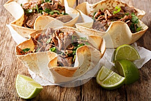 Mexican barbacoa tacos with spicy pulled beef close-up. Horizontal photo