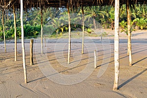 Mexican Beach Palapa