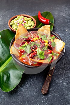 Mexican black bean soup with homemade fried tortillas totopos nachos served with guacamole