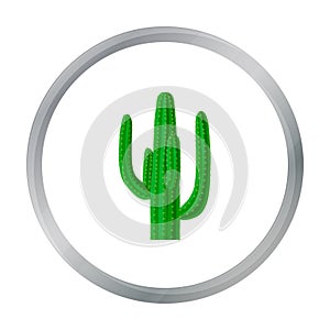 Mexican cactus icon in cartoon style isolated on white background. Mexico country symbol stock vector illustration.