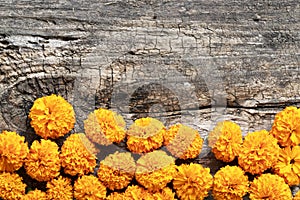 Mexican celebration Dead day banner with marigold flowers on wooden rustic background.. Traditional Mexican day of the photo