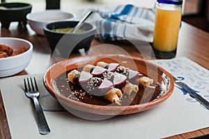 Mexican chicken enchiladas with Traditional Mole Poblano, Mexican cuisine in Mexico city photo