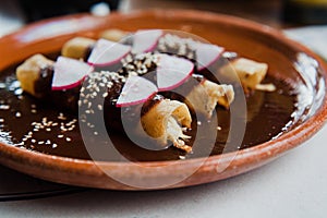 Mexican chicken enchiladas with Traditional Mole Poblano, Mexican cuisine in Mexico city photo