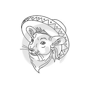 Mexican Chinchilla Wearing Sombrero Cartoon