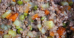 Mexican chopped meat with vegetables