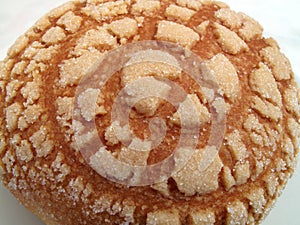 Mexican Concha Pastry