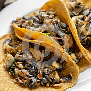 Mexican corn smut taco called Huitlacoche