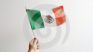 Mexican country flag in hand