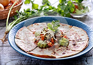 Mexican cuisine quesadilla