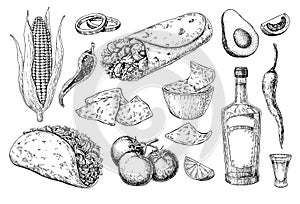 Mexican cuisines drawing. Traditional food and drink vector