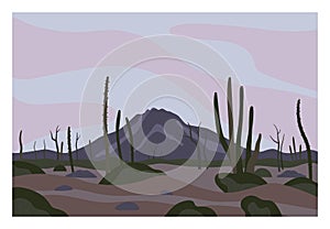 Mexican desert landscape concept. Mountain, rocks and cactuses sunset