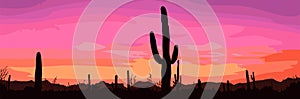 Mexican desert sunset