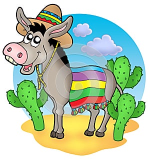 Mexican donkey in desert