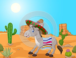 Mexican donkey wearing a sombrero and a colorful blanket.