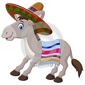 Mexican donkey wearing a sombrero and a colorful blanket. isolated on white background