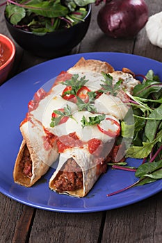 Mexican enchilada photo