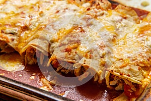 Mexican Enchiladas Dinner photo