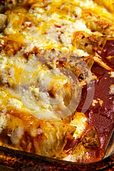 Mexican Enchiladas Dinner photo