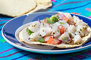 Mexican fish ceviche with crispy fried tortillas