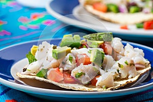 Mexican fish ceviche with crispy fried tortillas