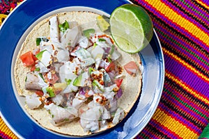 Mexican fish ceviche with crispy fried tortillas