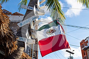 Mexican flag handing in natural background of blue sky and palms