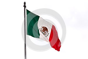 Mexican Flag