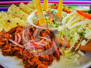 Mexican food mix colorful background, guacamole, cochinita pibil, flautas and quesadilla.