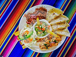 Mexican food mix colorful background, guacamole, cochinita pibil, flautas and quesadilla.