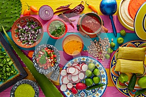 Mexican food mix with sauces nopal and tamale