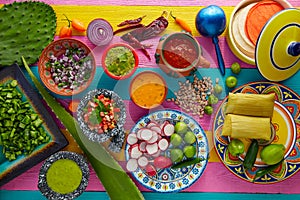 Mexican food mix with sauces nopal and tamale