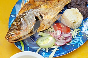 Mexican fried fish