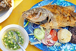 Mexican fried fish