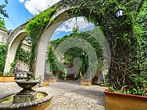 Mexican garden and colonial stone arc photo