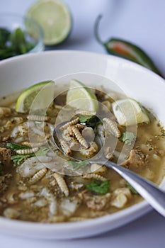 Mexican Green Posole with Waxworms