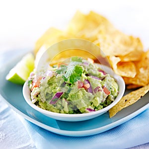 Mexican guacamole